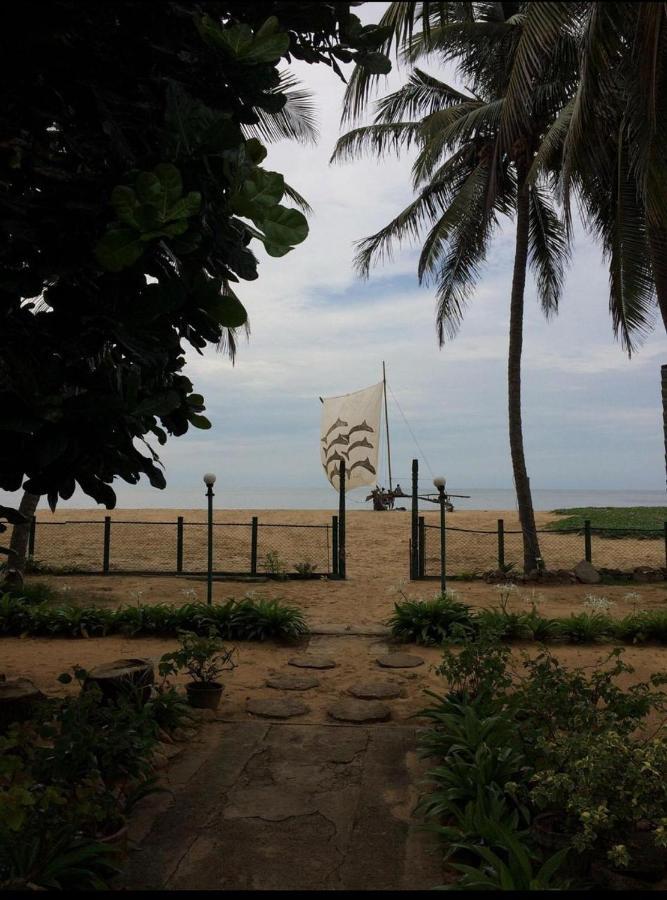 Hotel Silver Sands Negombo Dış mekan fotoğraf